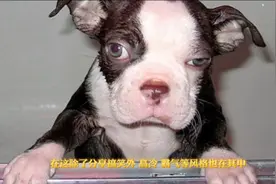 王者名字搞笑大全视频封面