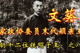画家政协委员末代颖亲王、文葵——清朝十二位铁帽子王：之八视频封面