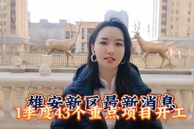 雄安新区最新消息:一季度43个重点项目开工视频封面