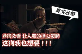 《忠犬八公》小八活了12年，用了整整9年等待一个永远等不到