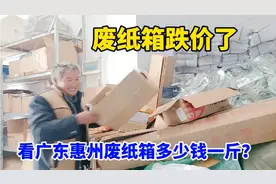 废纸箱跌价了，看广东惠州多少钱一斤？收废品大叔告诉你真实价格视频封面