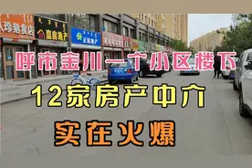 呼市金川一个小区楼下有12家房产中介，房产业务可以说是很火爆。视频封面