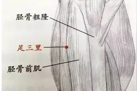 药穴同源，一个穴位=一味中药视频封面