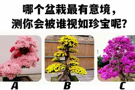 心理测试：你会被谁视若珍宝的守护？视频封面