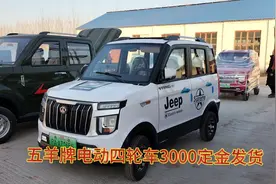 新能源五羊牌电动四轮车视频封面