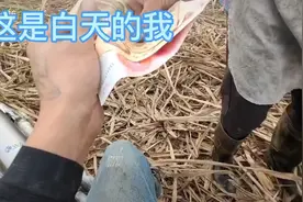 白天和晚上的我视频封面
