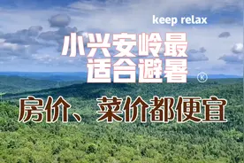 小于姐欢迎大家来小兴安岭避暑，夏天温度20来度，2W可以买套房
