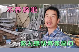小鸡仔是不养的了，老谢：努力干活挣钱养家，看看今天做了啥产品