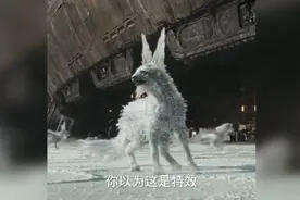 晶狐原来有真身