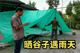 晒谷子遇下雨天，想偷懒可能就要淋雨，真麻烦