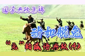 兔年说“兔”，“动如脱兔”的成语典故由来视频封面