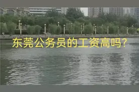 东莞公务员的工资待遇视频封面