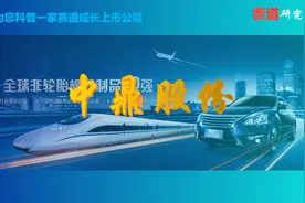 每天科普一家成长赛道上市公司系列：中鼎股份，汽车空气悬架龙头视频封面