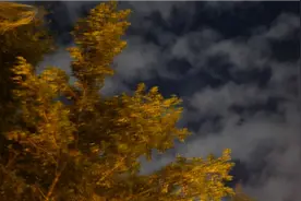 pubgm:人类大战僵尸视频封面