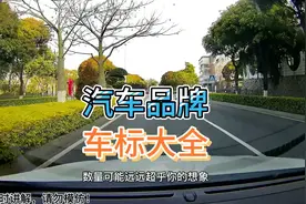 国产车汽车品牌标志大全，看看有没有被你误以为是国外品牌的车标视频封面
