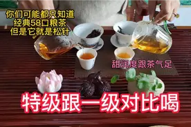 滇红茶中的口粮茶，经典58松针，好喝又实惠，可以天天喝。视频封面