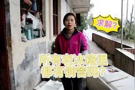 所有老冰箱都能拆出铜管吗？小妹今天拆了两个03年的，惊喜又意外