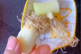 发烧第二天，喝水喝够了，就喝这个吧#家常菜#红糖姜水