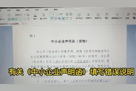 有关《中小企业声明函》填写常见错误说明！视频封面
