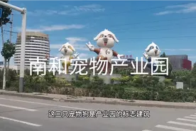 王宝强老家，邢台南和区宠物产业园发展的不错！视频封面