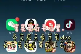 教你们如何去除vivo手机录屏时的小白点。视频封面