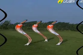 正版七彩阳光视频封面