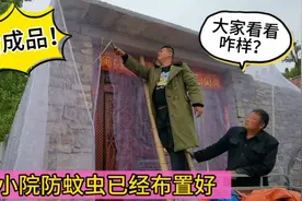 农村的院子这样做，夏天蚊子苍蝇都跑不进来，大家看看怎么样？视频封面