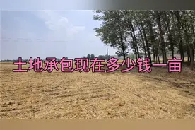 土地承包越来越火热，看看多少钱一亩？大家感觉这个价格合理吗视频封面