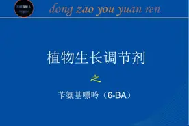 植物生长调节剂之苄氨基嘌呤视频封面