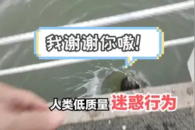 你TM管这叫放生？都快腌入味了⚡⚡⚡