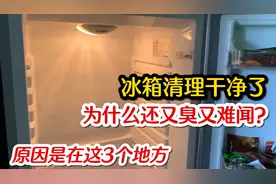 冰箱清理干净了还又臭又难闻？原因在这3个地方，轻松解决没异味视频封面