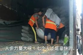 小庞拉玉米到饲料厂，卸货真的太慢了，一等就是一上午，怎么了？视频封面