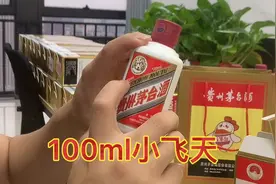 i茅台正式上线，100ml小飞天大家有抢到吗？来给大家看看视频封面