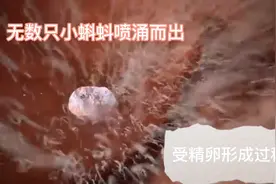 受精卵形成过程动画演示，你也曾是千军万马中的冠军选手！视频封面