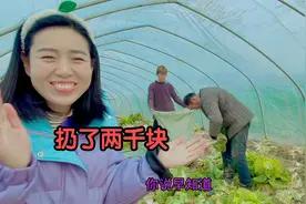 扔掉的白菜帮竟然有人高价收，知道的太晚，老爸说白白扔了两千块视频封面