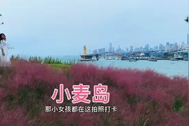 青岛小麦岛国庆人多到要限流，免费打卡容易出片，海岛景色绝美！视频封面
