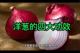 洋葱的四大功效视频封面