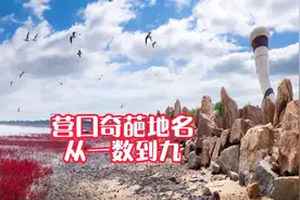 辽宁营口奇葩地名，从一数到九，营口全都有视频封面
