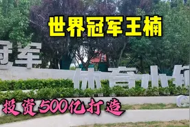 威海南海冠军小镇真是高大上，王楠送给奥运冠亚军的合院就在这里视频封面