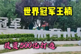 威海南海冠军小镇真是高大上，王楠送给奥运冠亚军的合院就在这里视频封面