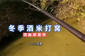 冬季酒米钓鱼就是快，下竿就有青鱼咬钩，最后成功上岸！视频封面