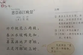 三年级语文下册《1古诗三首》第二首《惠崇春江晚景》讲解视频封面