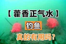 藿香正气水加野战蓝鲫钓鱼真的有用吗？水下高清测试揭秘大公开！