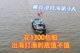 花1300包艘渔船出海打渔，到底值不值？第二网一上来一切有了答案视频封面