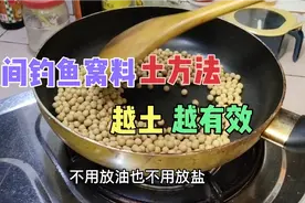 1个钓鱼窝料的民间偏方，小小黄豆爆发的聚鱼效果，让你大吃一惊视频封面