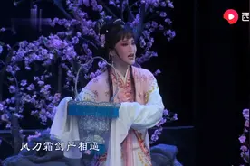 越剧【红楼梦】全本 尹袁版视频封面