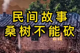 民间故事：桑树不能砍视频封面