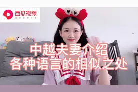 中越夫妻介绍各种语言的相似之处视频封面