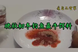 野外钓鱼用这款饵料，让你成为河边最靓的仔！视频封面