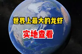 世界上最大的龙虾有多大，一分钟实地查看#热门 #卫星地图视频封面